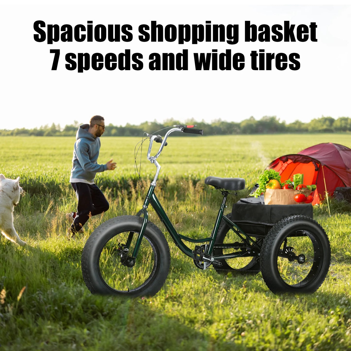Senior Tricycle With Snow Tires, 7 Speed, Double Disc Brakes