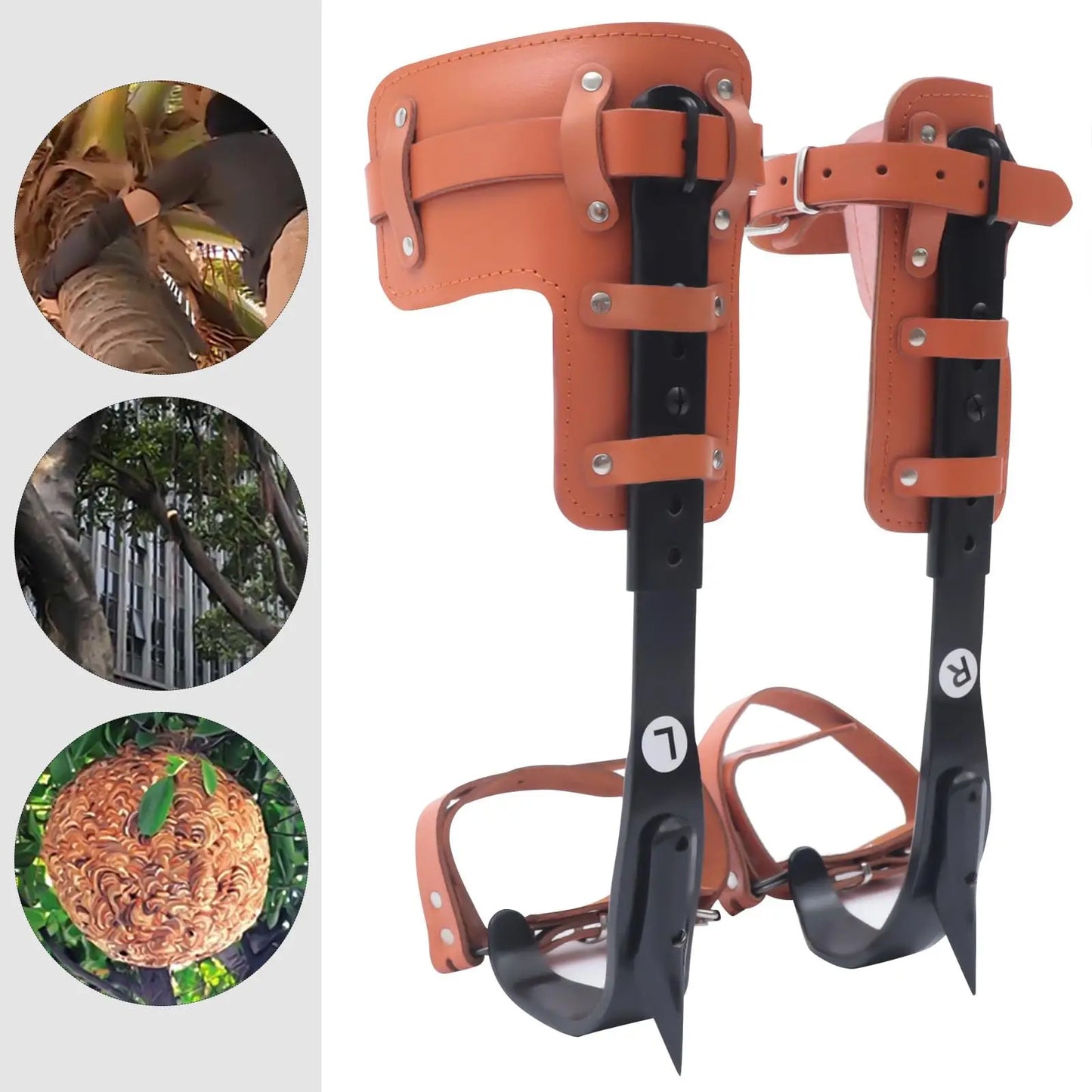 Tree Climbing Spike Set With Adjustable Steel Pole Climbing Spurs