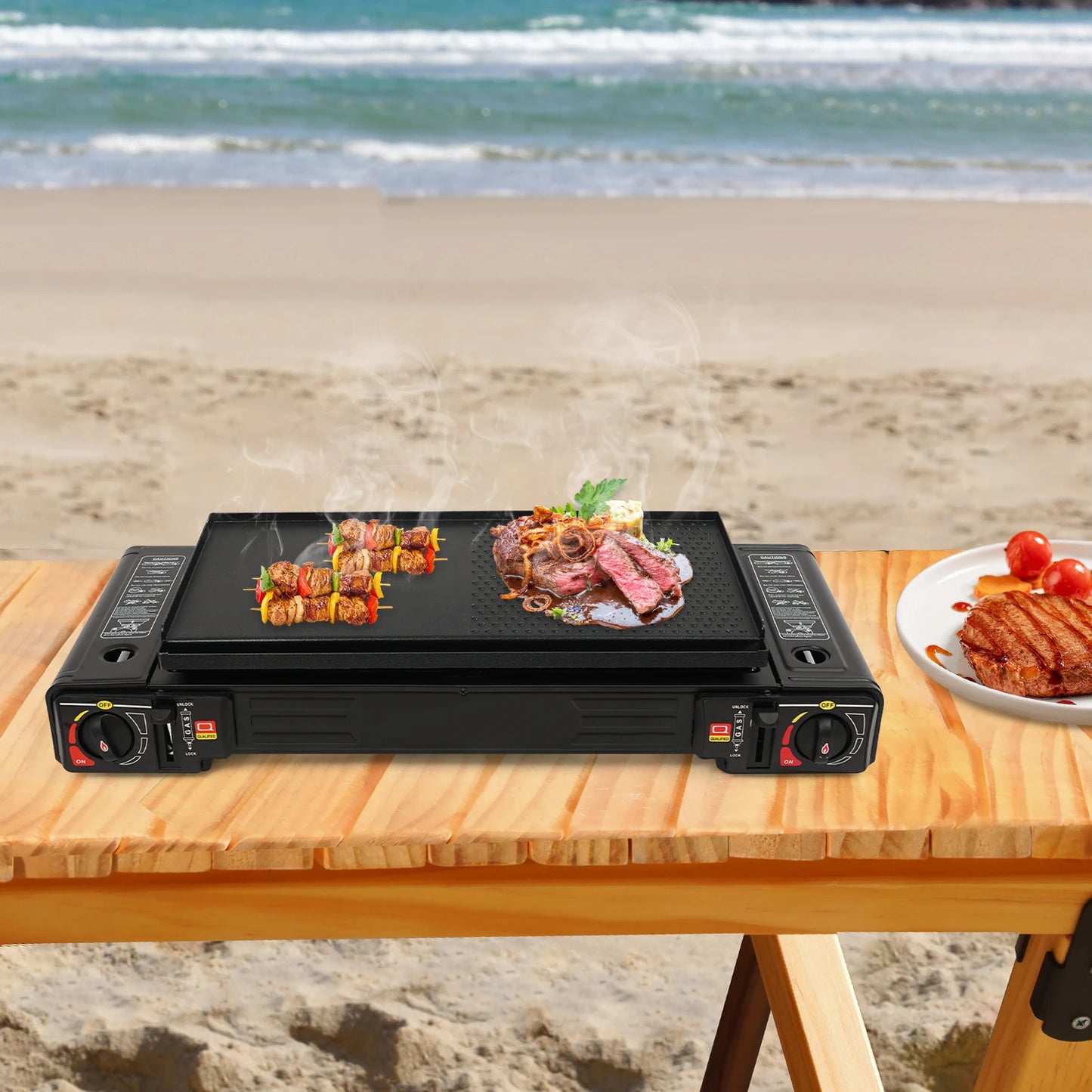 2500W Portable Camping Stove 2 Burner Baking Tray Case