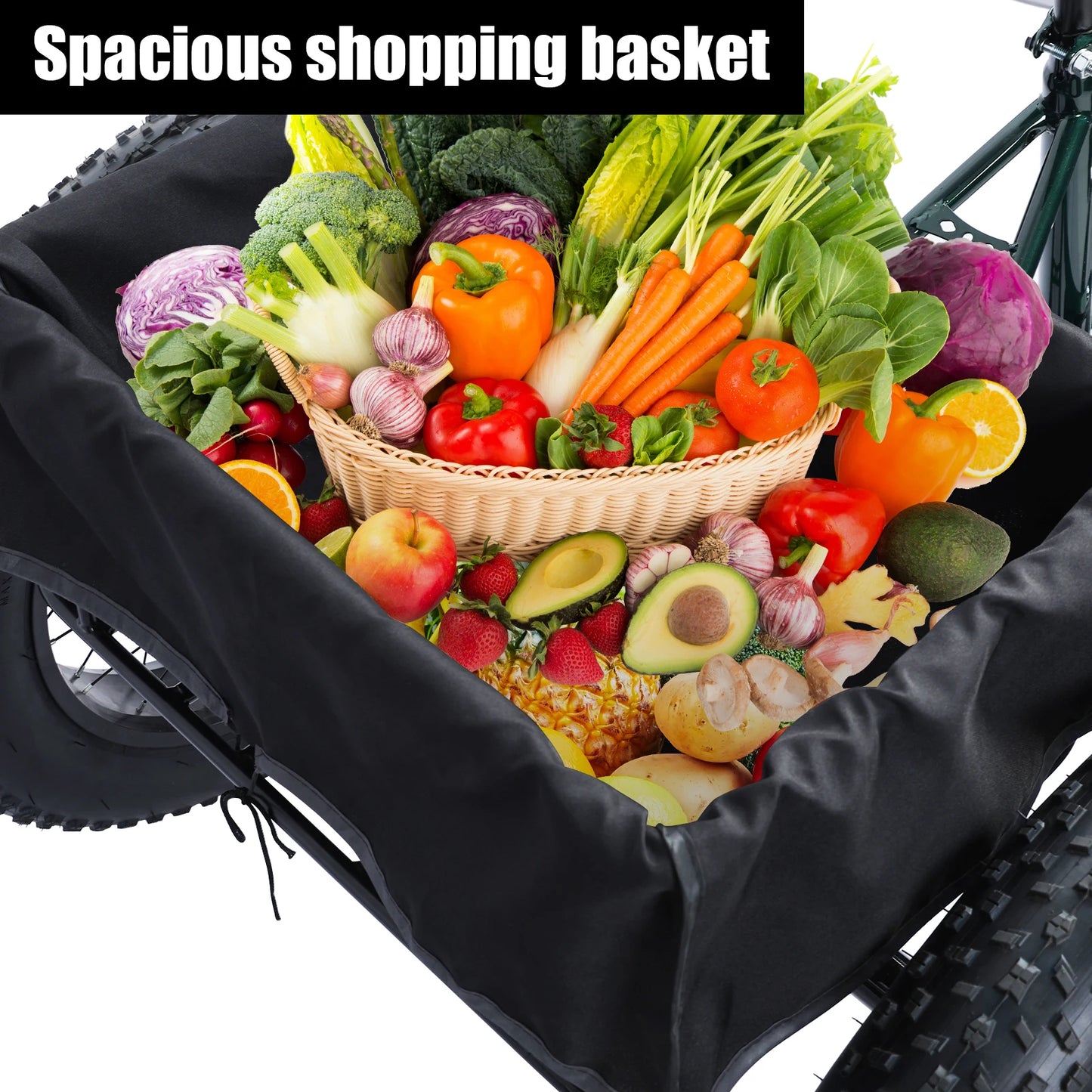 Senior Tricycle With Snow Tires, 7 Speed, Double Disc Brakes