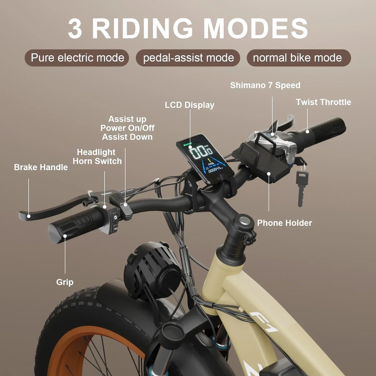 F1 2000W Dual Motor Electric Bicycle 48V Battery Hydraulic Brakes