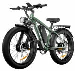 Electric Bicycle B1 2000W Dual Motor 48V 22.4Ah E Bike