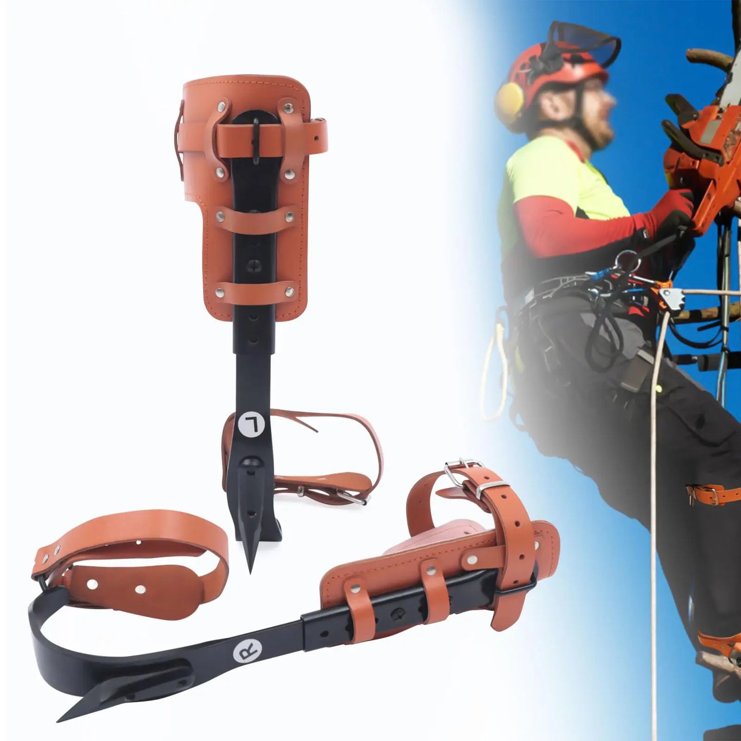 Tree Climbing Spike Set With Adjustable Steel Pole Climbing Spurs