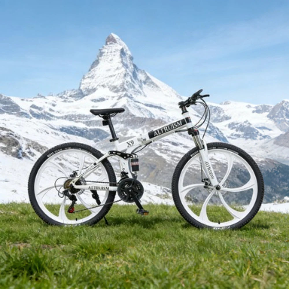 BZEQ Mountain Bike Dual Suspension 21 Speed