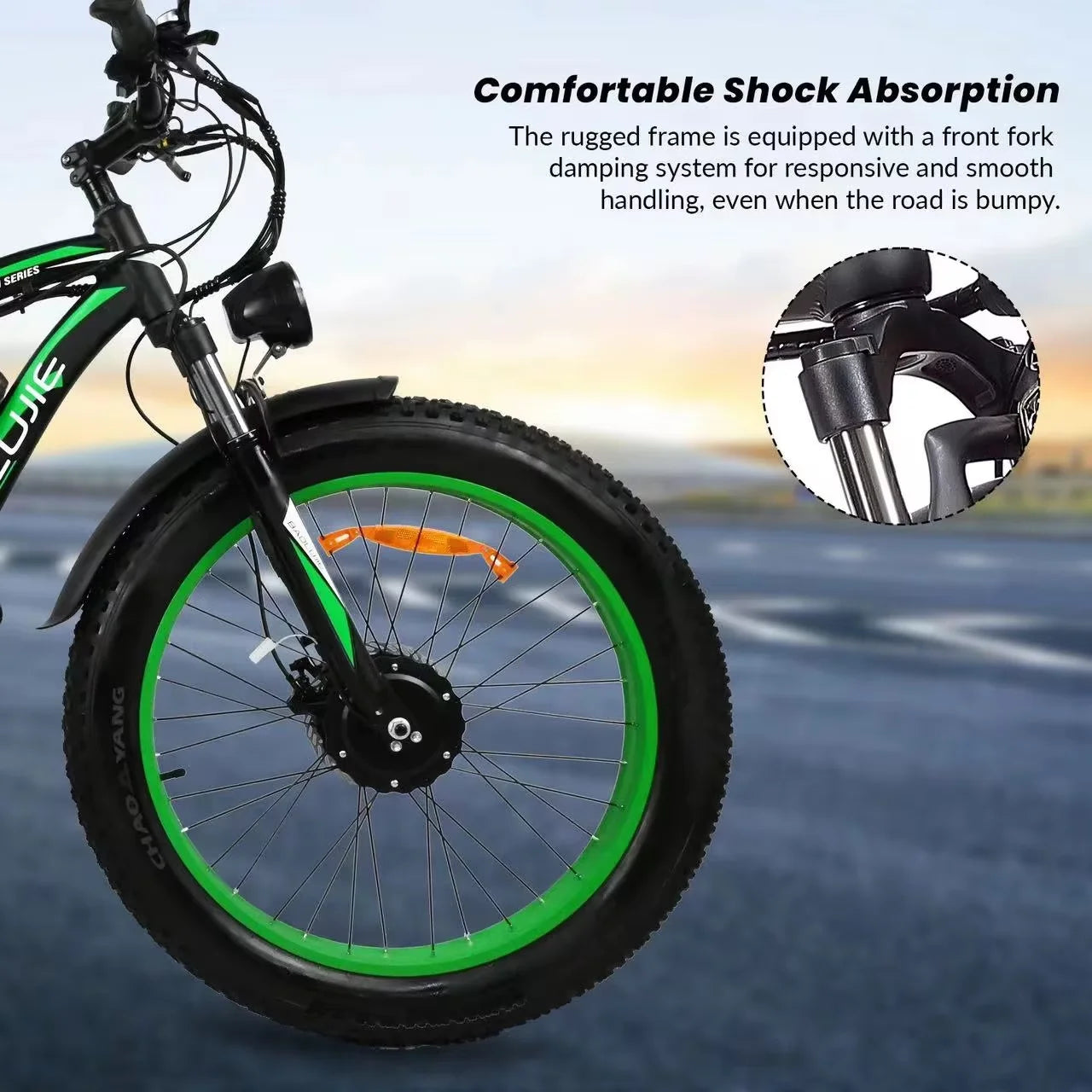 Electric Fat Tire E Bike 2000W Dual Motor Hydraulic Brakes