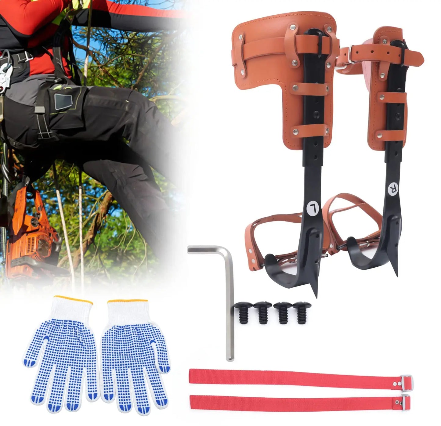 Tree Climbing Spike Set With Adjustable Steel Pole Climbing Spurs