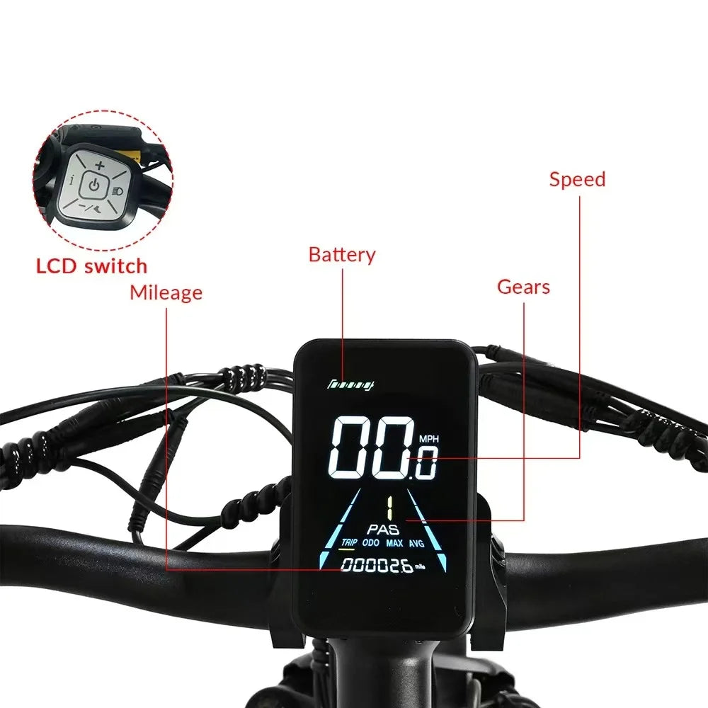 Electric Fat Tire E Bike 2000W Dual Motor Hydraulic Brakes
